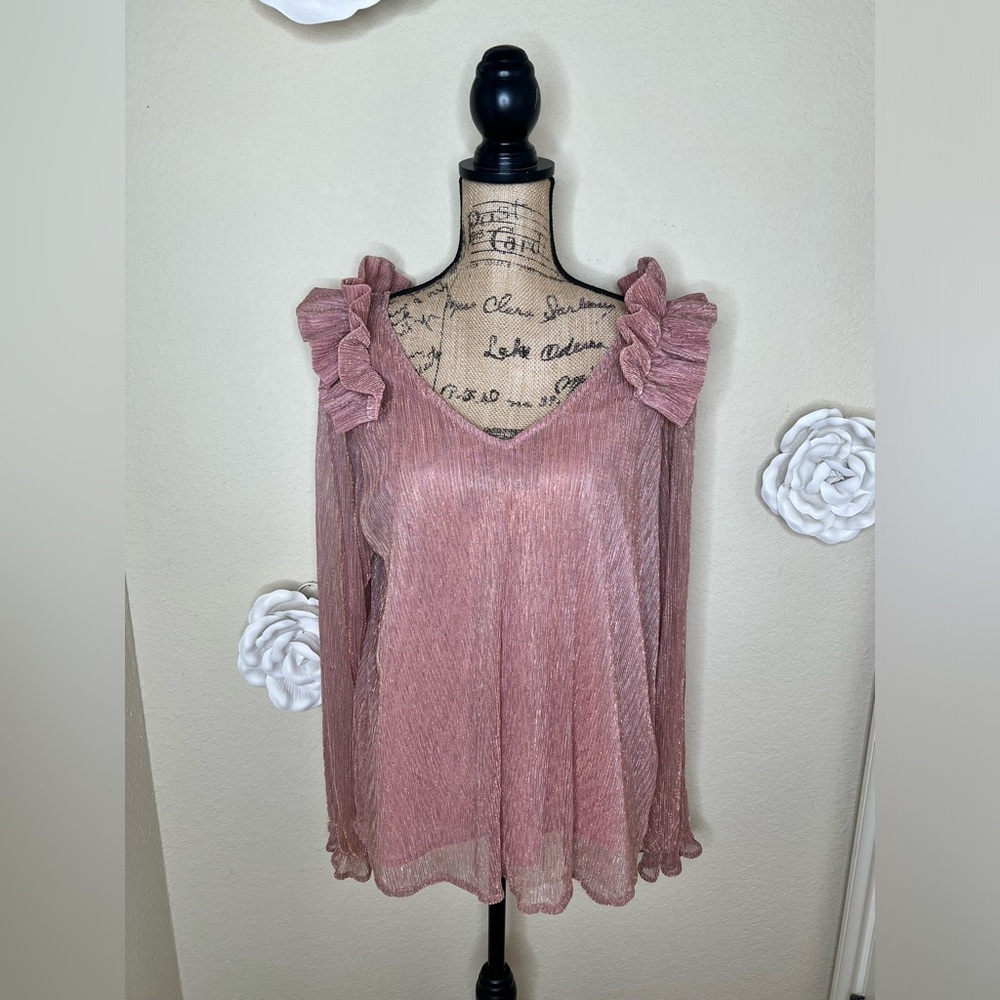 NTM: Entro Metallic Ruffle Sheer Blush Pink & Gold Blouse Size Large